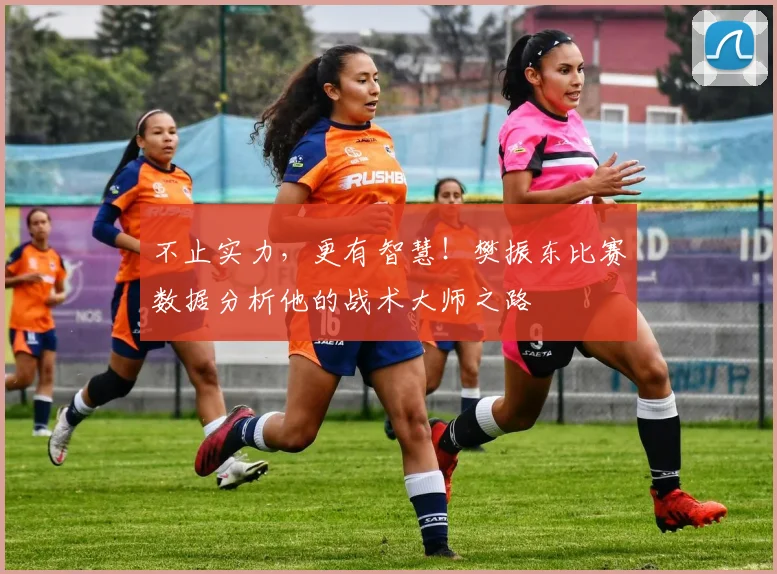 不止实力，更有智慧！樊振东比赛数据分析他的战术大师之路