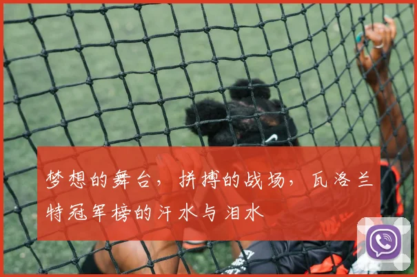 梦想的舞台，拼搏的战场，瓦洛兰特冠军榜的汗水与泪水