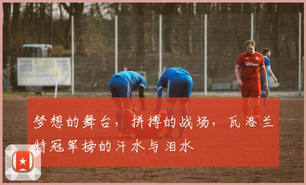 梦想的舞台，拼搏的战场，瓦洛兰特冠军榜的汗水与泪水