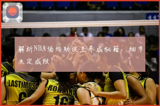 解析NBA场均助攻王养成秘籍，细节决定成败！