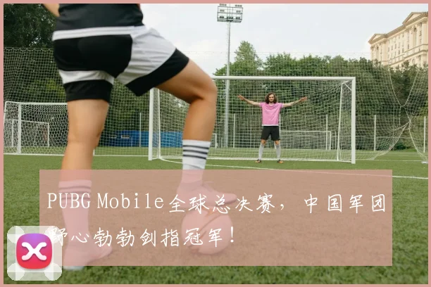 PUBG Mobile全球总决赛，中国军团野心勃勃剑指冠军！